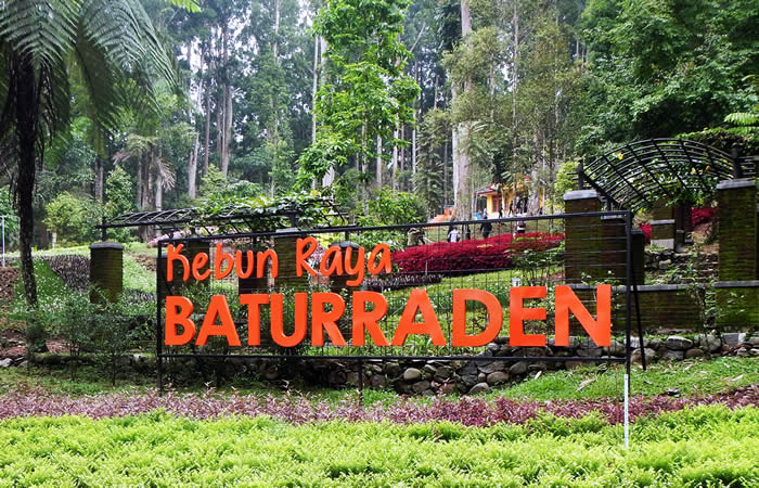 We provide Ngurah Rai International Airport, Denpasar (DPS), Bali pick-up and drop-off services to seluruh kota di Jawa Timur, Bali, Central Java, Yogyakarta (DIY), West Java, DKI Jakarta, Banten dengan pilihan mobil ber-AC yang nyaman Toyota Avanza 5 seater, Toyota Innova 6 seater, Toyota Hiace 14 seater